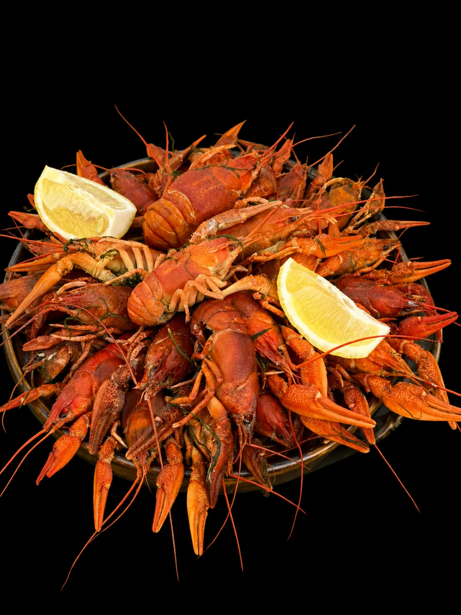 Boiled Crayfish with Dill: 790 MDL / 1 kg